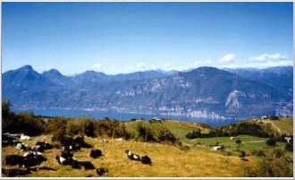 Informazioni sulle sedute Benessere